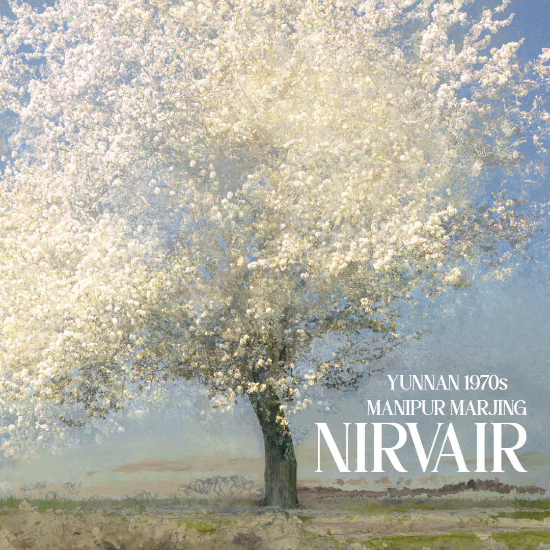 Nirvair (Yunnan 1970s x Manipur Marjing)